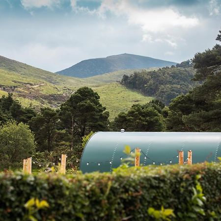 Further Space At Leitrim Lodge Luxury Glamping Pods Mourne Mountains Newcastle  Exterior photo